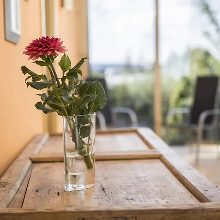 Dornstetten: Sonniges Design Haus: Kamin, Sauna, Hot Pot, Zaun Dornstetten